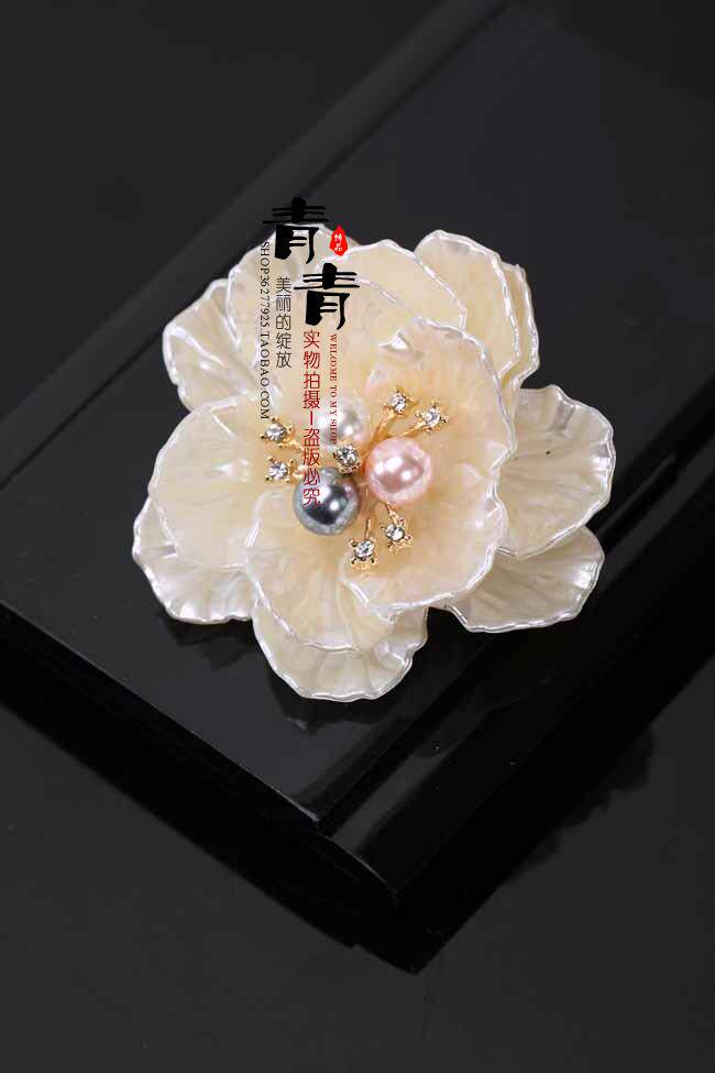 Broche femme en Nacre - Ref 1175679 Image 16