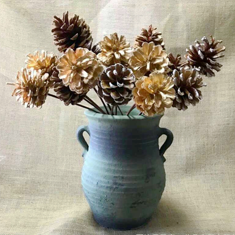 With rod pine cone decoration diy natural dry flower immortal flower creative flower arrangement decoration flower arrangement pine cone pine cone dry bouquet