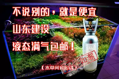 (Between water plants)4 liters Shandong construction carbon dioxide cylinder full of gas grass cylinder sea cylinder pure copper liquid co2