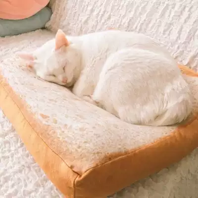 Simulation bread cushion cushion slice T toast D pillow plush cat special bread seat cushion