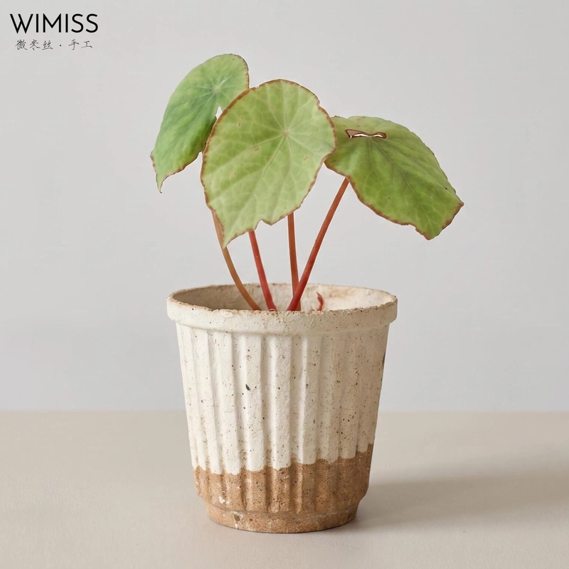 Wimiss 8.5cm Wabi-Sabi Style Ceramic Pot for Succulents, Cactus Rootstock, Desktop Green Plant Planter