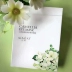 Chunsu Xiaolan Camellia Essence Mask Mask Desalination Fine Lines to Panda Eye Eye Care Chính hãng