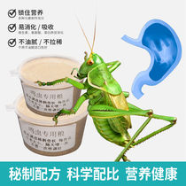 Grasshopper feed special food for chirping insects crickets crickets oil gourds bamboo flies high protein calcium supplement to extend the life of chirping period