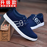 D-902 Blue (модель обновления)