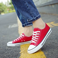 A01 Женская красная