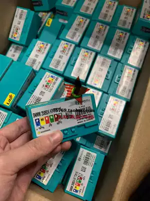 Tegu Taegutec SNMM250924-HT TT8115 heavy duty machined blade