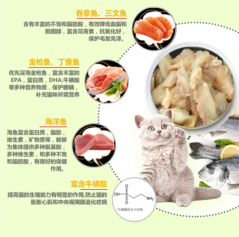 Mèo Baocai Mèo đóng hộp Mèo Cá Hương vị 170g Cá Cá Thịt Thức ăn ướt Đồ ăn nhẹ Bibimbap Thức ăn cho mèo 12 lon - Đồ ăn nhẹ cho mèo thức an cho mèo giá rẻ