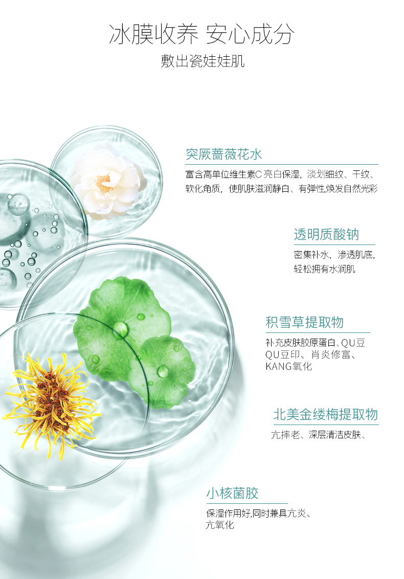 蕾蒂金ladykin瓷娃娃冰膜【官方正品授权】招代理