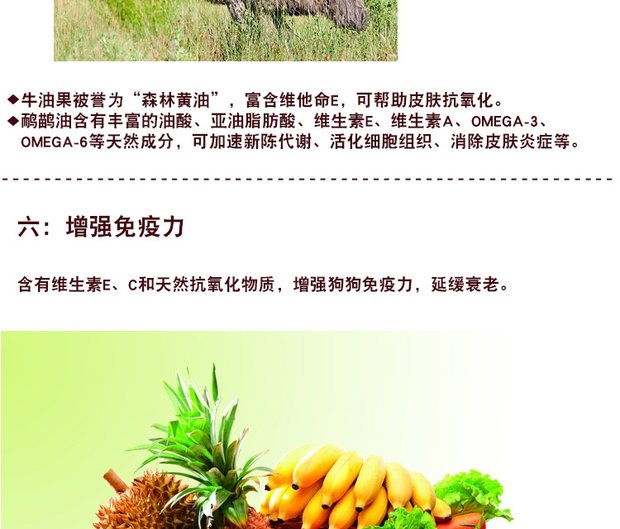 Chó Akita thức ăn cho chó tự nhiên đặc biệt 20kg40 kg Ưu đãi đặc biệt Chó con chó trưởng thành Chó Nhật Akita chung - Chó Staples thức ăn chó smartheart