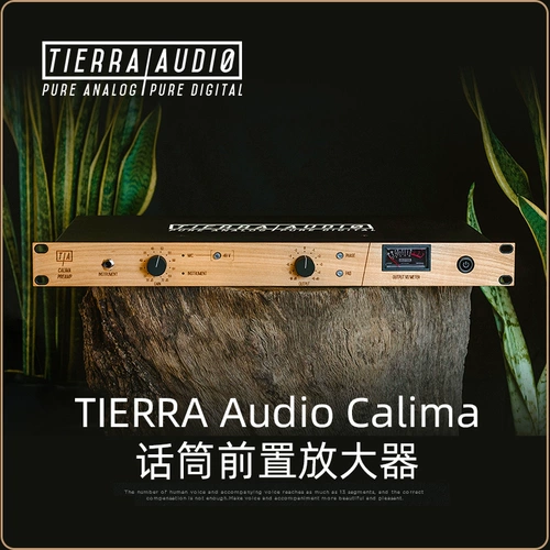Tierra Audio Калима -микрофон спереди, размещающий большой