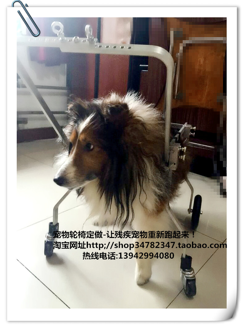 New Pet Wheelchair Dog Wheelchair Paralysed Dog Scooter with Wheelchair Disabled Dog Full Body Wheelchair L-Taobao
