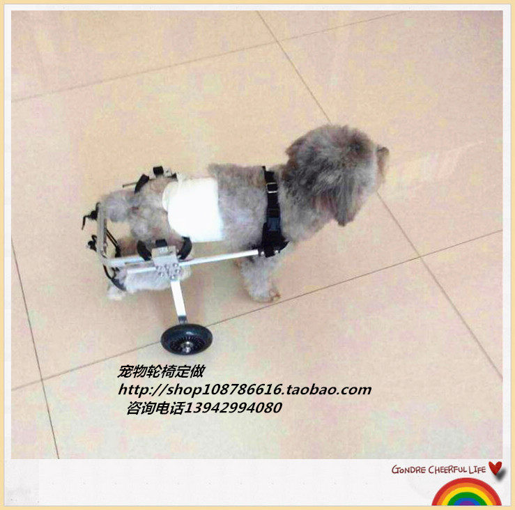 Dog Wheelchair Paralyzed Pet Adult Scooter Broken Leg Dog Adult Scooter Hind Leg Paralyzed Vehicle Small Wheelchair