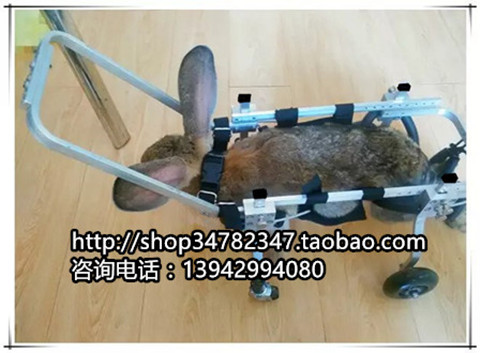 Cat Dog Rabbit Wheelchair Paralyzed Physically Disabled Pet Adult Scooter Whole Body Wheelchair Limb Wheelchair Small Pet Adult Scooter