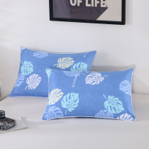 Student Pillow Dormitory Dormitory Single Adult Cervical Cute Cartoon Pillow 1 Pillow Pillow Pair 2