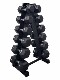 New Hexagonal Rubber-Coated Fixed Dumbbells for Men, a Set of Commercial Dumbbell Rack Sets for Home Personal Training and Strength Fitness