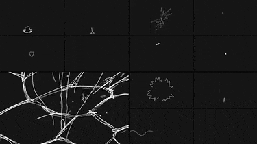 图片[3]-动画动效动态视频线条手绘卡通个性有趣特效AE格式源文件模板素材-cg男孩