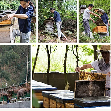 蜂蜜纯正天然农家自产蜂蜜小包装[3元优惠券]-寻折猪