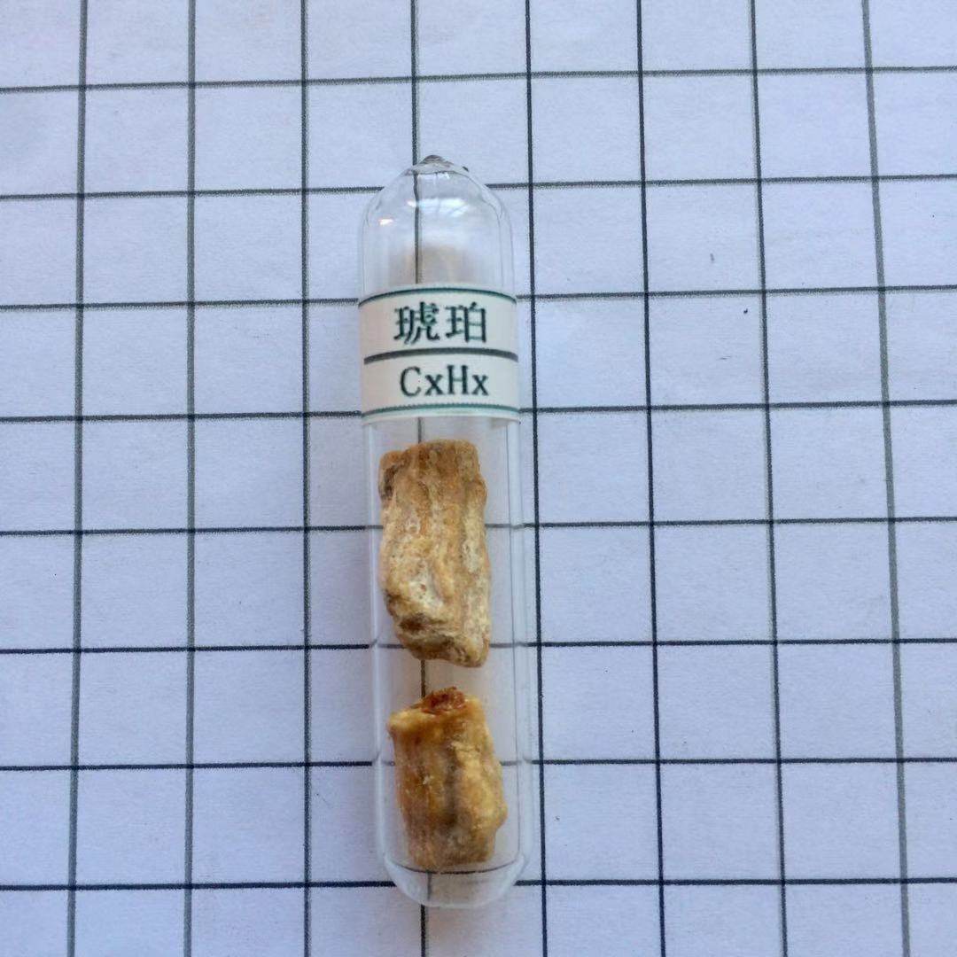 琥珀 化石 玻封 原石 矿物教学 展示 工艺品 摆件