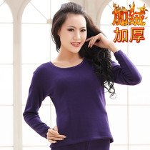 Autumn-winter thickened garnter undershirt youth lady Jane approu pure cotton warm blouse single piece round collar not down velvety autumn clothes