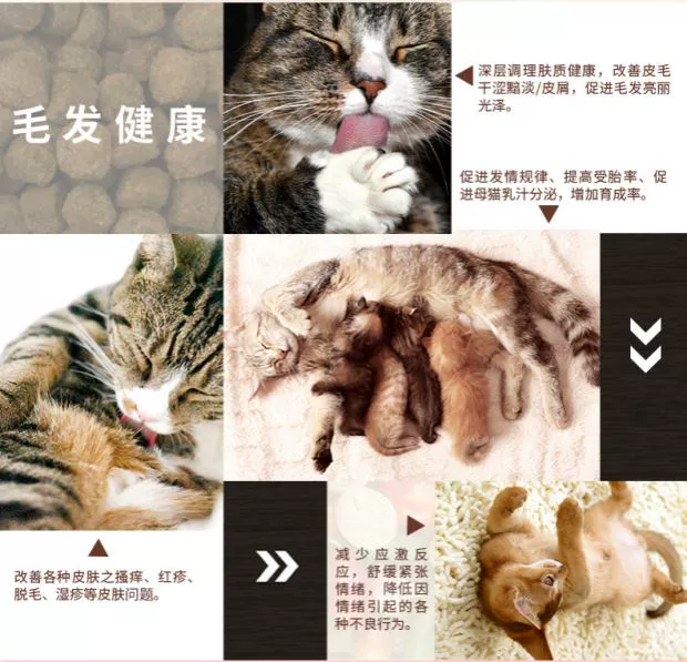 Chăm sóc tóc của mèo krill mèo lecithin làm đẹp chăm sóc tóc 250g sản phẩm chăm sóc tóc cho mèo - Cat / Dog Health bổ sung sữa dành cho chó con