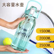 Revitalized Mega-Capacity Water Cup Big 2500ml Space Sport straw mug Male outdoor high temperature resistant fitness jug