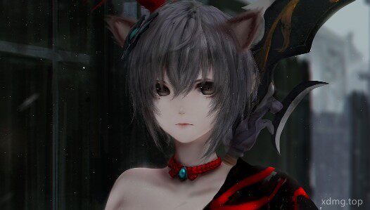 PT-小兜米的书包