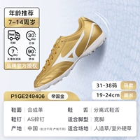 [Поддержка безопасности сильная] Empire Gold-P1GE249406