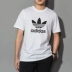 Áo thun nam Adidas Adidas nam 2019 xuân mới clover thể thao giản dị tay ngắn lỏng CW0709 Áo phông thể thao