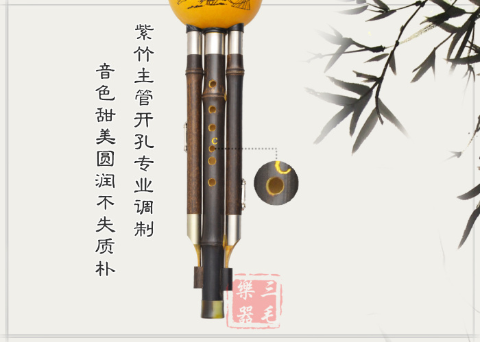 Nhạc cụ Hulu sinh viên trẻ em mới bắt đầu chuyên nghiệp chơi cucurbit lụa C xuống B nhạc cụ độc quyền Zizhu - Nhạc cụ dân tộc mua đàn tỳ bà