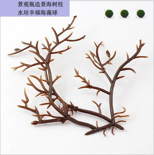 MARIMO seaweed ball micro landscape decoration Environmental protection sea tree simulation seagrass branches underwater landscape decoration accessories