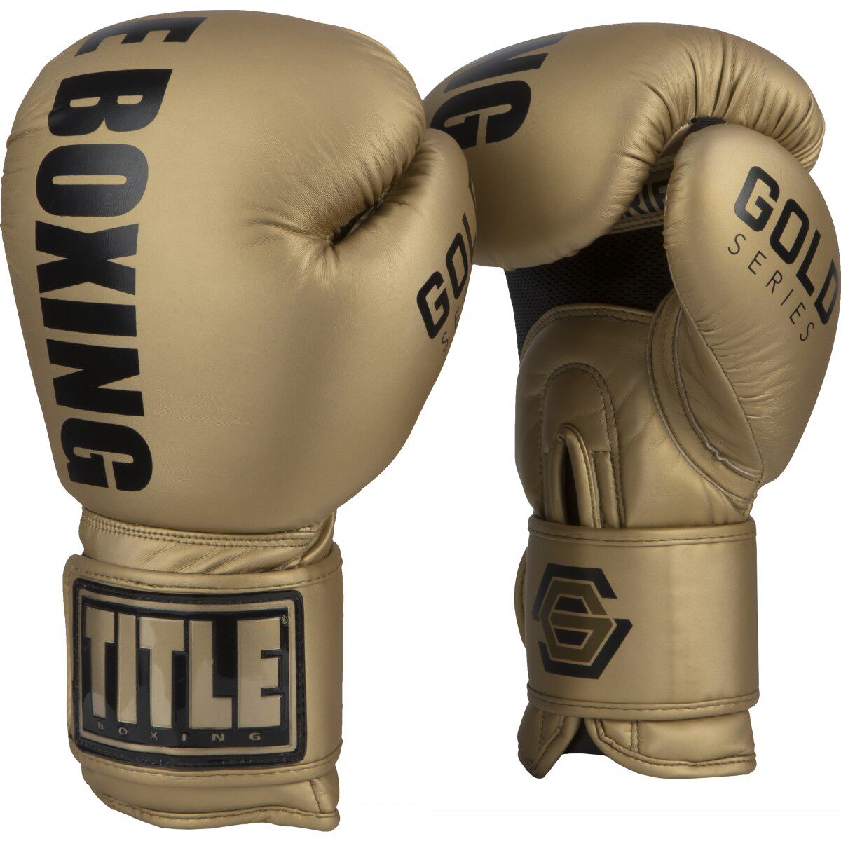 TITLE GOLD SILVER SERIES training boxing gloves