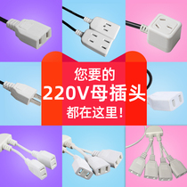 Monitoring with wire 2-hole male plug monitoring power plug 220V Engineering national standard two-pin hole female waterproof socket