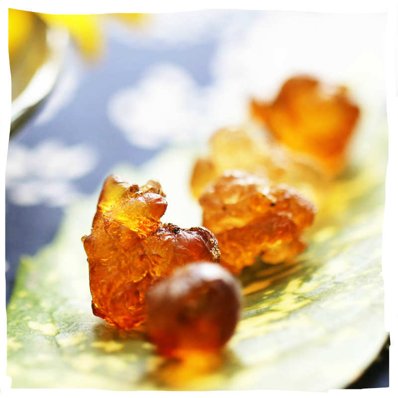 Coarse Grain Workshop Natural peach gum native to Yunnan with white fungus and saponin rice Peach Blossom Tears 200g