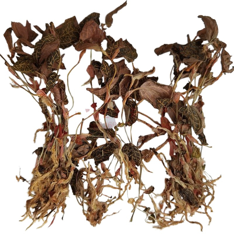 Golden Thread Lotus Whole Plant Dry Pint Raising Raw Tea 50 gr Bulk Delivery Gift Box Saucepan Soup Stock Tea Guangdong Mezhou Hakka