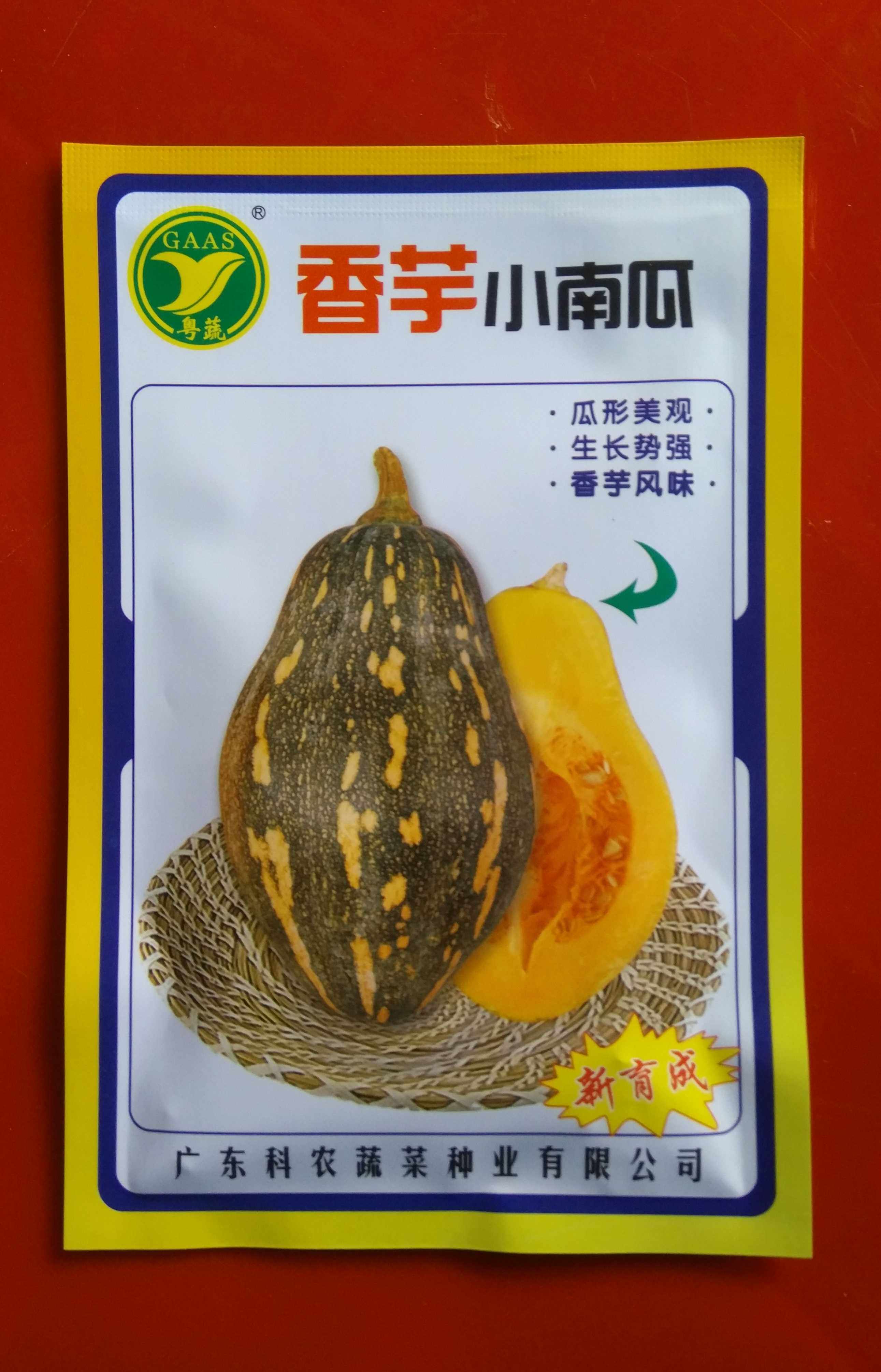 Guangdong Vegetable brand Taro pumpkin seeds (10g)Konong vegetable seeds Taro flavor Guangdong Academy of Agricultural Sciences