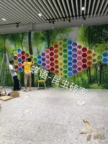 Butterfly: Insect Butterfly Specimen Exhibition can be leased to buy colorful hexagonal honeycomb frame butterfly specimens