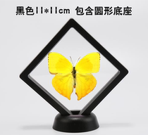Butterfly language: Goufei butterfly (imported butterfly) True butterfly specimen transparent box can take out gifts