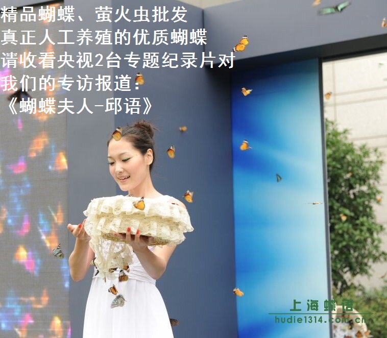 Butterfly-Language Living Butterfly Let Fly Butterfly Wedding Wedding Wedding Artificial Plume Butterfly Wedding Real Butterfly