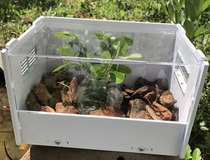 Butterfly language: Pet insect box breeding box stick insect breeding box stick insect box