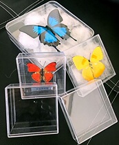 Butterfly language: transparent acrylic crystal box butterfly specimen box insect specimen box (empty box without specimen)