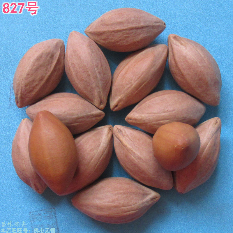 Olive nuclear carving original seed Wenwan red oil nuclear carving knife Maitreya Luohan Zhongkui Caitong light pearl single piece of plain bead seed