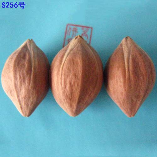 Guangdong olive nuclear raw oil raw oil core 4-flower nuclear string with quad-flower core 8 groups of RMB160  groups of RMB160