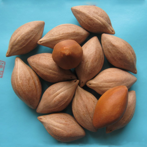 Olive core carving raw materials full