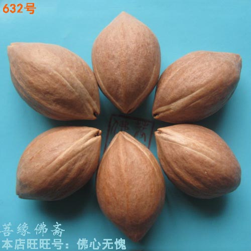 Olive nucleus small core bead string material plays Guangdong red oil nucleus nucleus hu seed