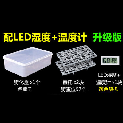 Hatching Case Turtle Eggs No Medium Incubation Box Incubators Water Tortoise Tortoise Crawling And Pamper Nature Incubation Inbred