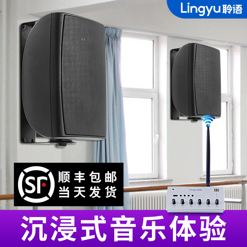 Master's WR-6 Wireless wall-mounted sound shop Conference room Dance room 6 5 inches Heavy bass Bluetooth wall-mounted sound box