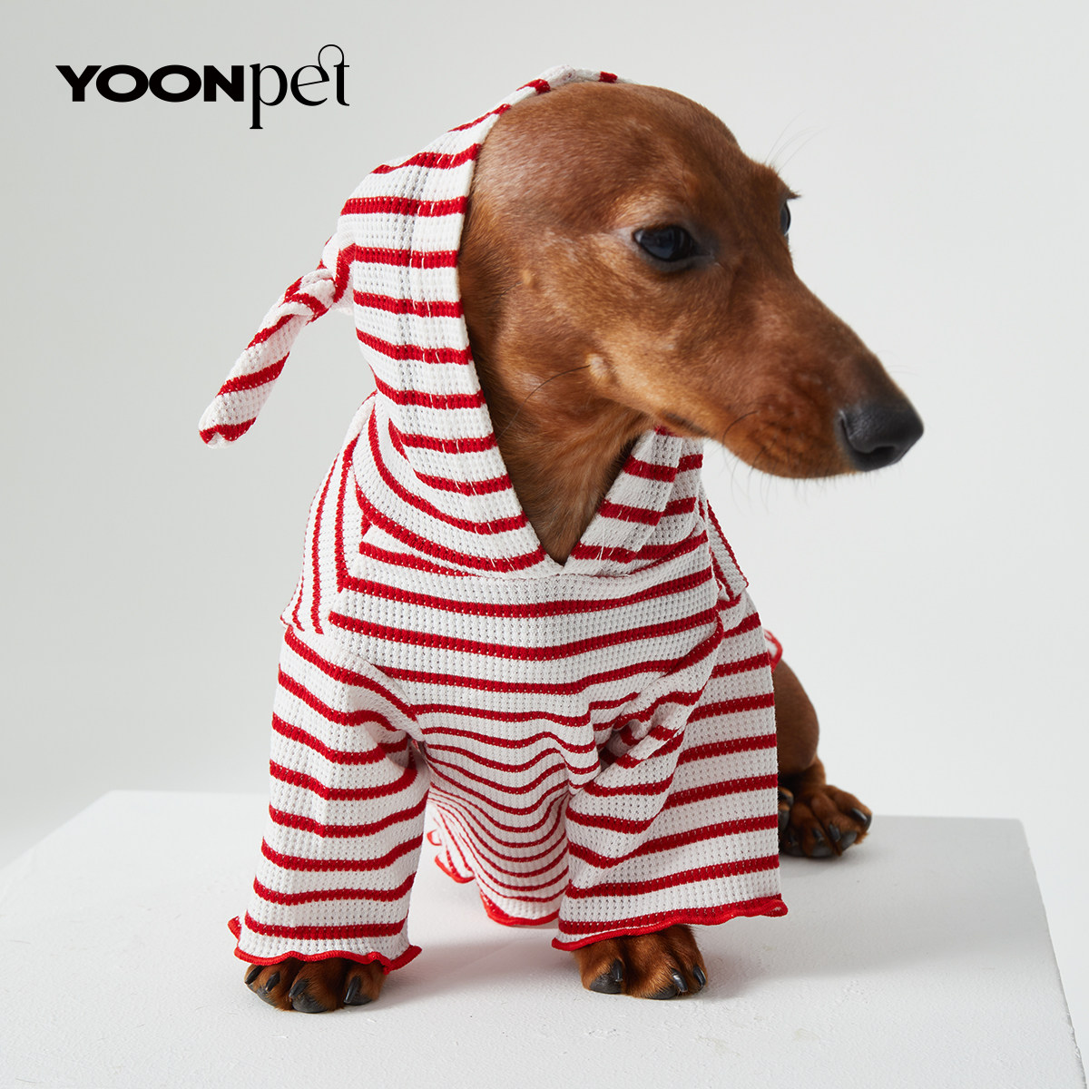 YOONpet