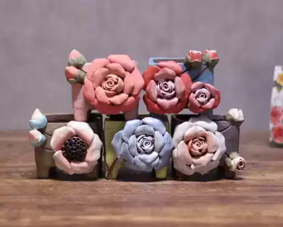 Korean-style Provence hand-squeezed three-dimensional flowers handmade meaty flowerpot controlled type breathable square mouth cheese thumb Basin