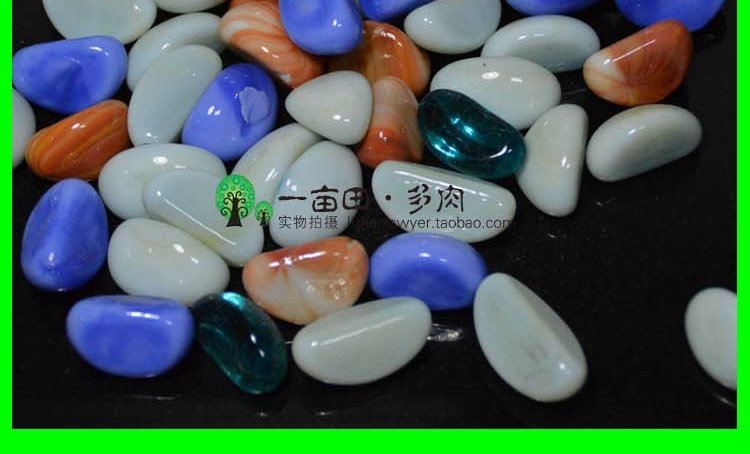 Trang trí đặc biệt mọng nước, đá lát, vật liệu lát, đồ làm vườn, đá đầy màu sắc, ceramsite, ngọc bích chậu trồng hoa