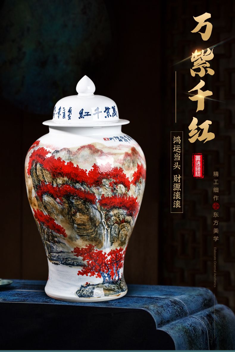 Chinese wine sitting room adornment is placed famous jingdezhen ceramics hand - made the general pot of large storage tank